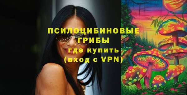 соль ск Абаза