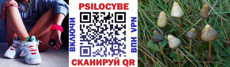 Галлюциногенные грибы Magic Shrooms  kraken маркетплейс  Соликамск  продажа наркотиков 